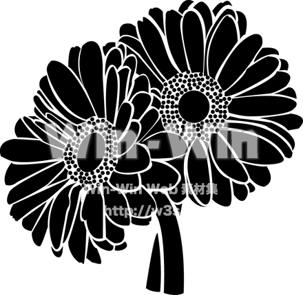 ガーベラのシルエット素材 W-013875