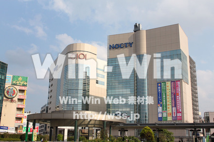 ノクティ界隈の写真素材 W-013583