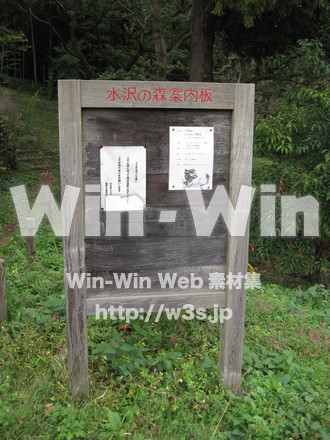 水沢の森の写真素材 W-012546