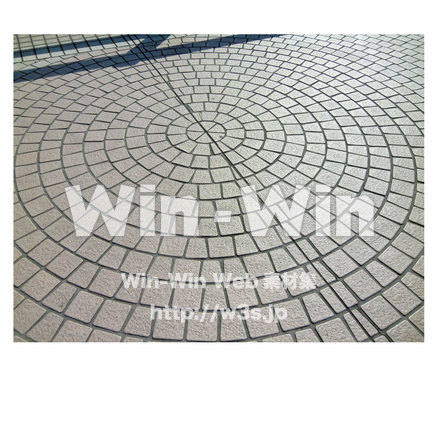 丸子橋の歩道の模様の写真素材 W-013244