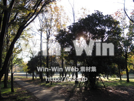 水沢の森の写真素材 W-012525