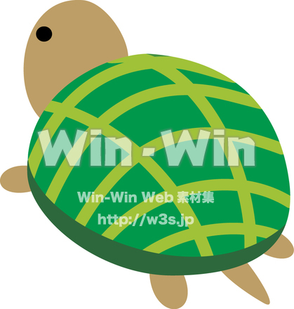 亀のCG・イラスト素材 W-012449