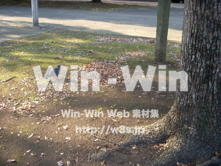 平和記念公園　53の写真素材 W-012769