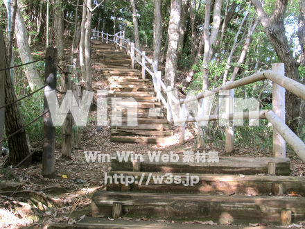 東高根森林公園。の写真素材 W-013013