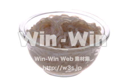 いとこんにゃくの写真素材 W-012991
