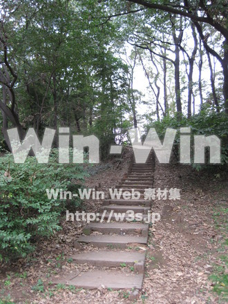 水沢の森の写真素材 W-012549