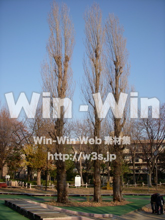 平和記念公園　26の写真素材 W-012742