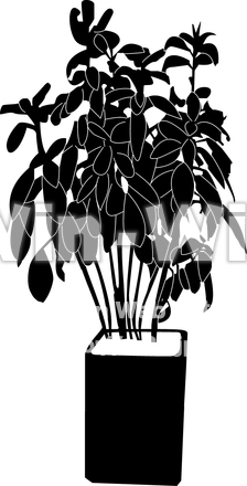 観葉植物のシルエット素材 W-013938