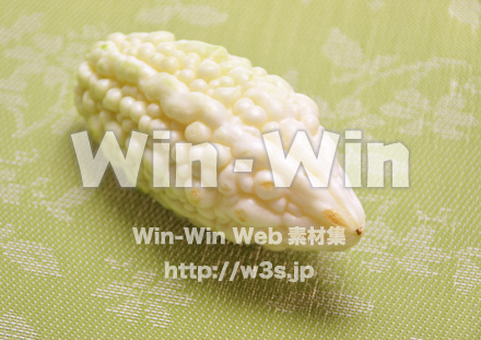 白ゴーヤの写真素材 W-015352