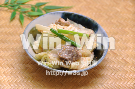 キャベツの白ごま和えの写真素材 W-015265