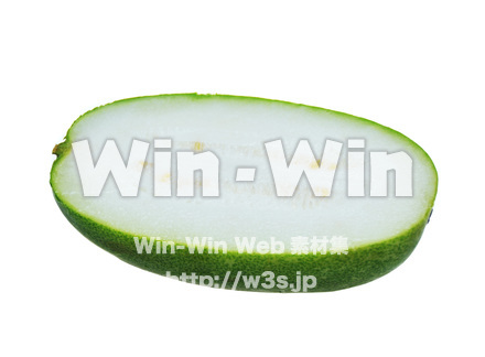 冬瓜の写真素材 W-015255