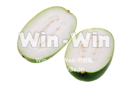 冬瓜の写真素材 W-015256