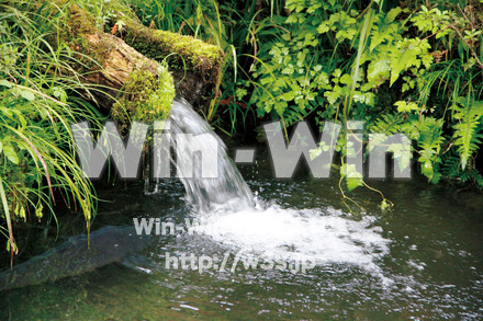 湧水の写真素材 W-015485