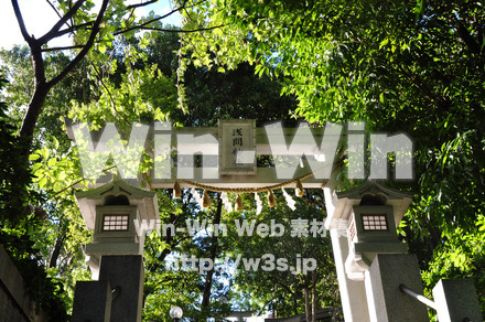 多摩川浅間神社の写真素材 W-014854