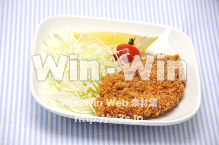 ヒレカツの写真素材 W-014886