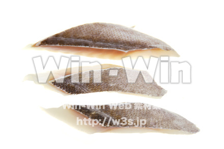 タラの写真素材 W-015885