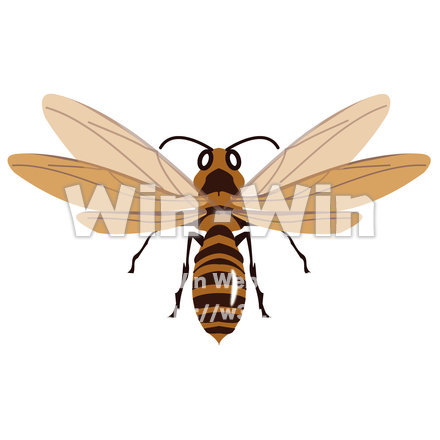 はちのCG・イラスト素材 W-015608