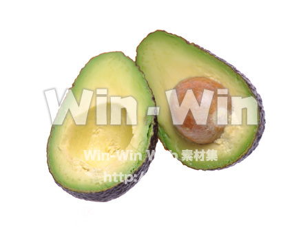 アボガドの写真素材 W-015810