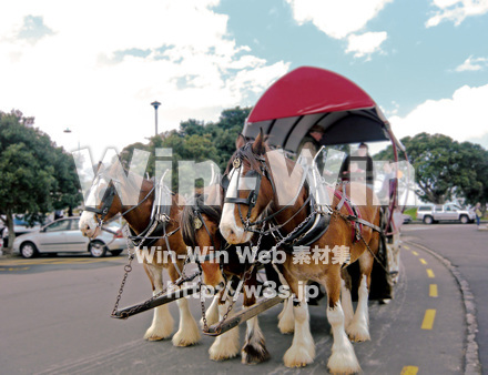 馬車の写真素材 W-015500