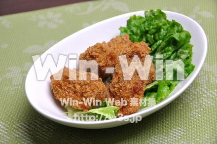 牡蠣フライの写真素材 W-015862