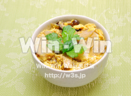 木の葉丼の写真素材 W-015106