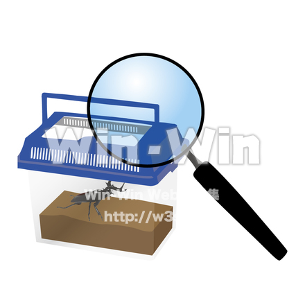 昆虫観察のCG・イラスト素材 W-015643