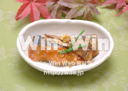 鮭の生姜てりやきの写真素材 W-015584