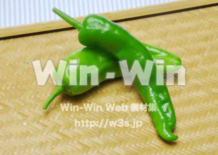 とうがらしの写真素材 W-014835