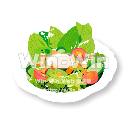 サラダのCG・イラスト素材 W-014944