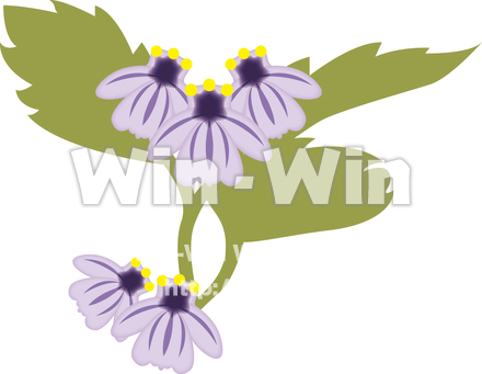 キンコツ草のCG・イラスト素材 W-015034