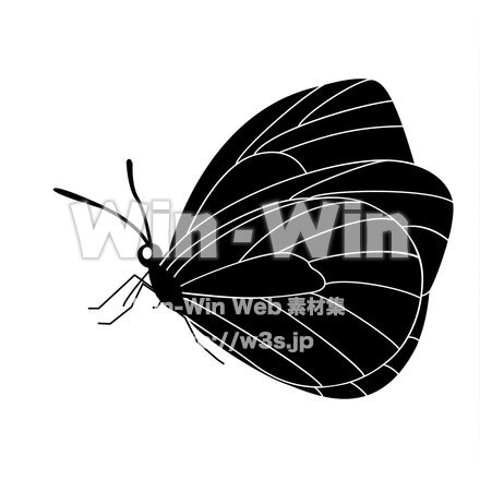 もんしろちょうのシルエット素材 W-015454