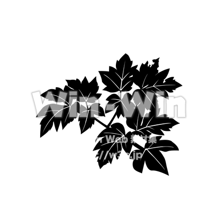 あしたばのシルエット素材 W-014778