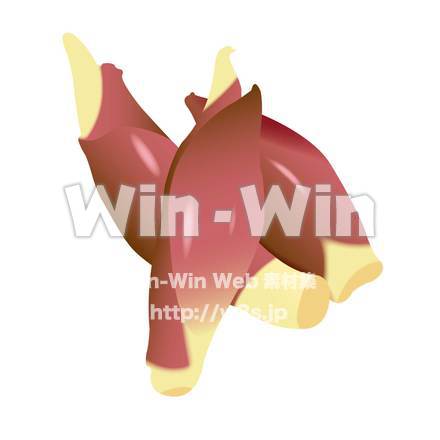 みょうがのCG・イラスト素材 W-014444