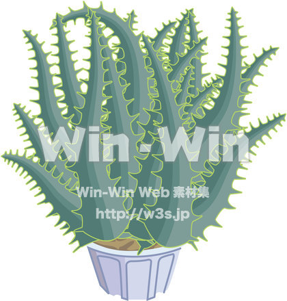アロエのCG・イラスト素材 W-014866