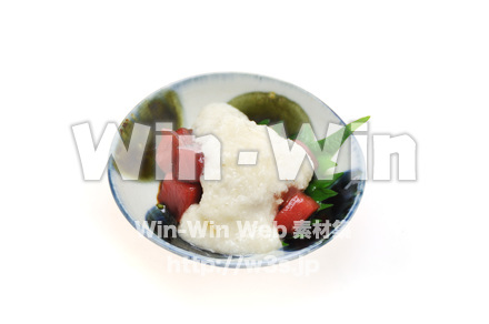 まぐろの山かけの写真素材 W-015794