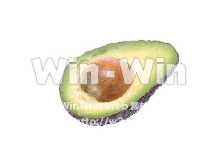 アボガドの写真素材 W-015809