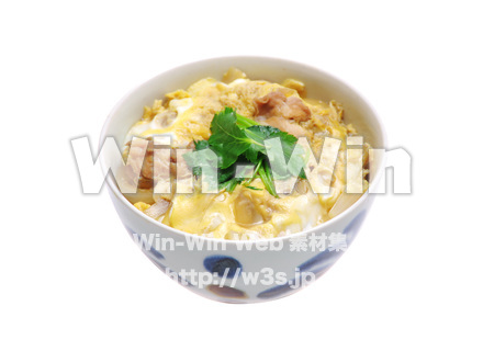 親子丼の写真素材 W-015102