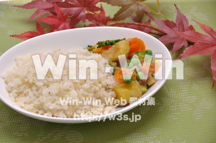 ガーリックライスの写真素材 W-015595