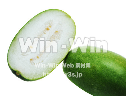 冬瓜の写真素材 W-015254