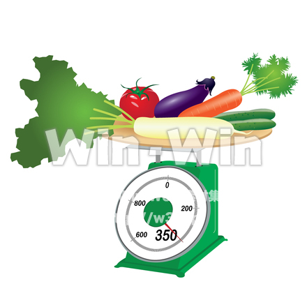 野菜350gのCG・イラスト素材 W-014200