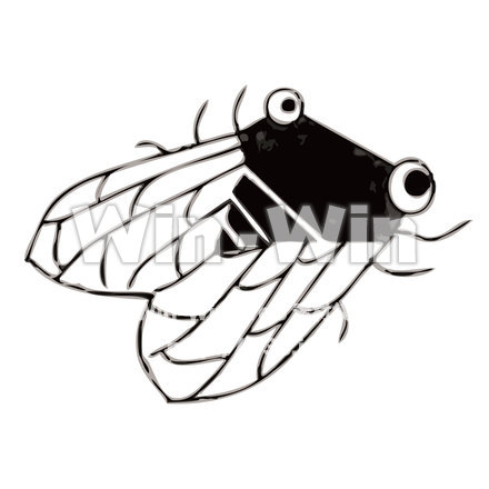 せみのシルエット素材 W-015239