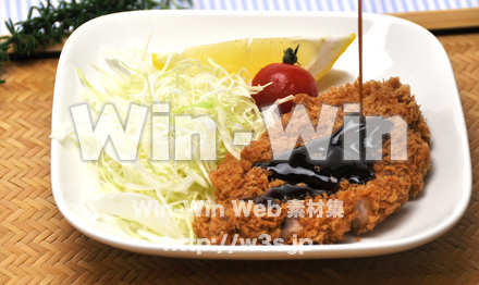 ヒレカツの写真素材 W-014888