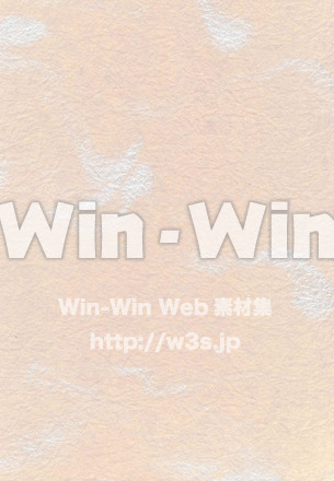 模様の写真素材 W-015519