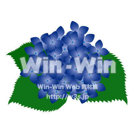 あじさいの花のCG・イラスト素材 W-014255