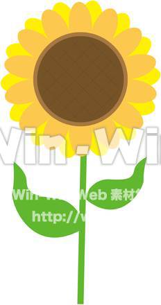 ひまわりのCG・イラスト素材 W-014525