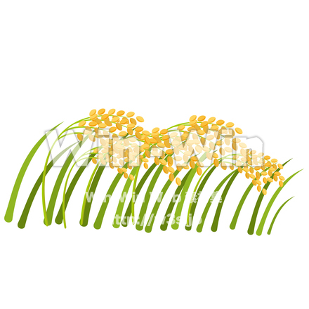 稲穂のCG・イラスト素材 W-015393