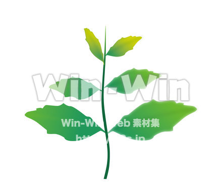 草2のCG・イラスト素材 W-015286