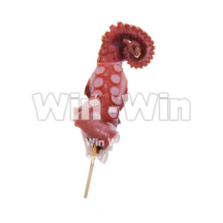 たこの写真素材 W-015902