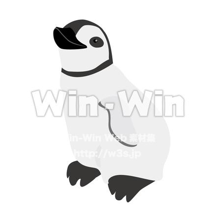 コウテイペンギンのヒナのCG・イラスト素材 W-014536