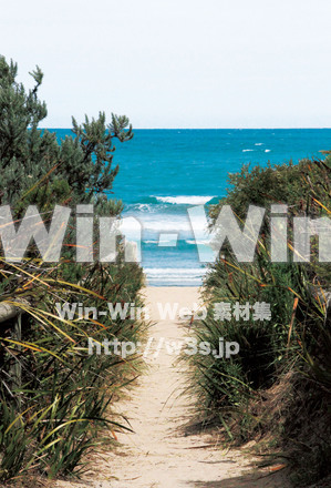 海への小道の写真素材 W-015486